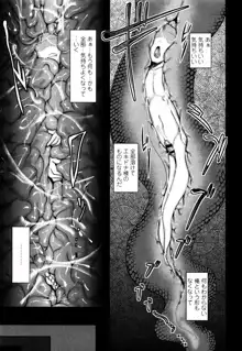 僕だけの向こう側, 日本語