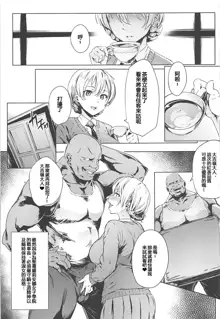 Darjeeling no Himitsu Chakai, 中文