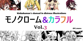 モノクローム&カラフル Vol.3, 日本語