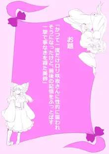 東方プラグマタイザー その15, 日本語