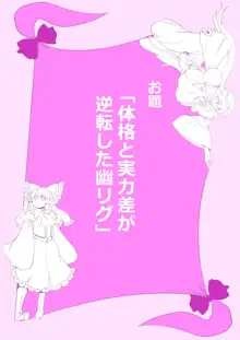 東方プラグマタイザー その15, 日本語