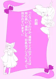 東方プラグマタイザー その15, 日本語