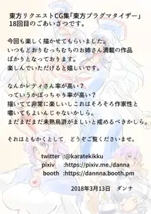 東方プラグマタイザー その18, 日本語