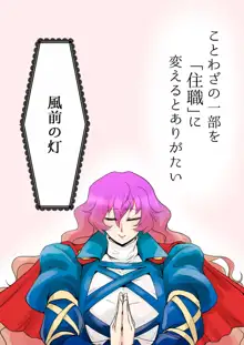 東方プラグマタイザー17, 日本語