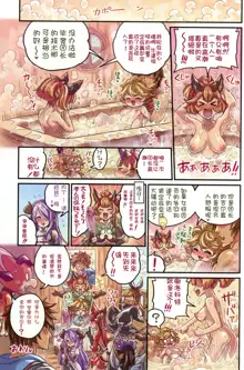 Nakama to Issen Koechau Hon ~Grablu Hen 2~, 中文