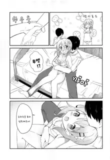 Gochuumon wa Kokoa to Shitagi desu ka | 주문은 코코아랑 속옷입니까?, 한국어