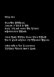 Kabeshiri Lunasa | 벽낌 루나사, 한국어