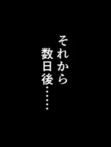 爆乳おばさんとキモいガキがエロいことする話, 日本語