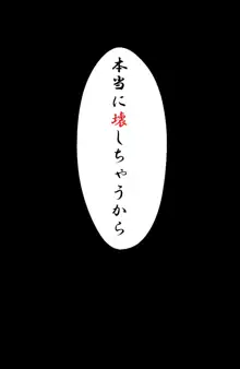 例のトイレに出るお姉さんと少年のお話, 日本語