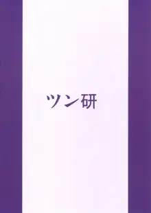 姫の○○日記, 日本語