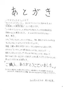 愛と悲しみのキン○バスター, 日本語