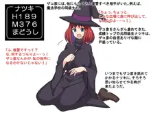 Lv.1魔法使いの下克上!!最弱魔法使いが国王になるまで, 日本語