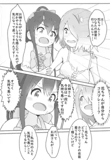 私に山進少女が舞い降りた!, 日本語