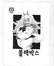 Black Box | 블랙박스, 한국어