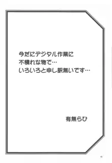 山姫の実 千鶴  過程, 日本語