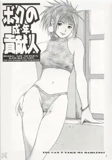 Boku no Seinen Kouken-nin 3, English