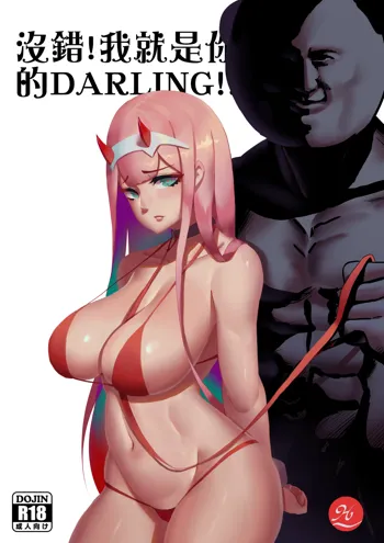 沒錯!我就是 你的DARLING!!, 中文