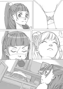 Untitled Precure Doujinshi, 日本語