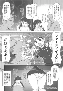 東方裏表としあき成年合同誌8 としあき怒助平, 日本語