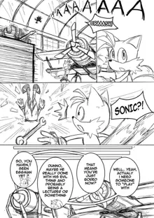 Sonic Doujinshi, English