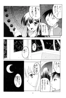 とある月夜の物語, 日本語