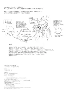 流れバルムンクを食らったかわいそうな触手, 日本語