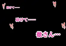 NTRダイアリー〜人妻、響子の日記〜, 日本語