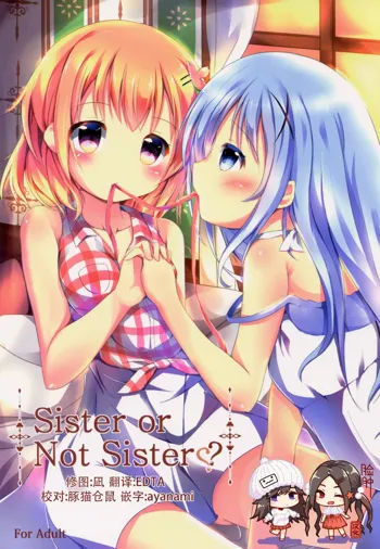 Sister or Not Sister??, 中文