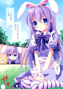 Fushigi no Kuni no Chino-chan, 中文