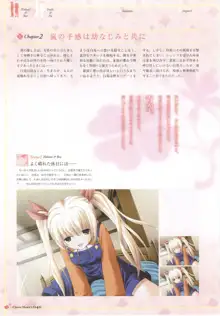 clover heart's visual fan book, 日本語