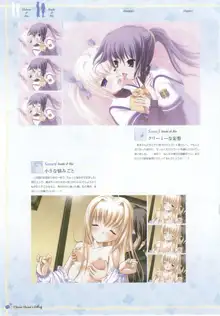 clover heart's visual fan book, 日本語