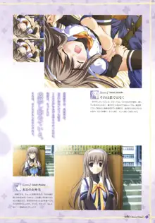 clover heart's visual fan book, 日本語