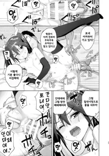 Teitoku Wagahai to Yasen de Jissen ja | 제독 나와 함께 야전에서 실전이다♥, 한국어