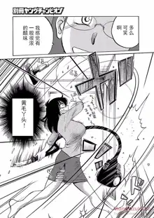 Rakujitsu no Pathos Ch. 24-30, 中文