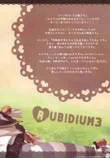 RUBIDIUM3, 日本語