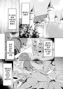 Edens Ritter THE COMIC Ch.1 | 에덴즈 리터 THE COMIC Ch.1, 한국어