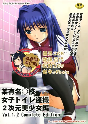 Bou Yuumei Koukou Joshi Toilet Tousatsu 2-jigen Bishoujo Hen Vol. 1, 2 Complete Edition, 中文