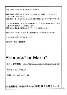 Princess? or Maria?, 中文