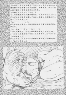 堕天使白書, 日本語