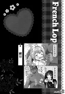 Usa-san no Itonami 3, 中文