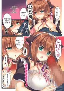 kaede meido ni omakase! | 카에데 메이드에게 맡겨줘요!, 한국어