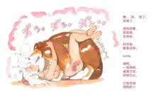 Himitsu no Inukko Club Sweet - Secret Puppy Club Sweet | 秘密的小狗俱乐部, 中文