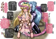 SUCCUBUS NIGHT, 日本語