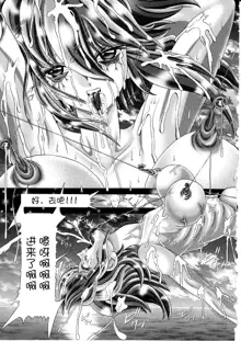 RANDOM NUDE Vol.5 92 〔STELLAR LOUSSIER〕 (Gundam Seed Destiny)【chinese】, 中文