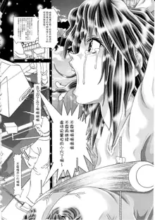 RANDOM NUDE Vol.5 92 〔STELLAR LOUSSIER〕 (Gundam Seed Destiny)【chinese】, 中文