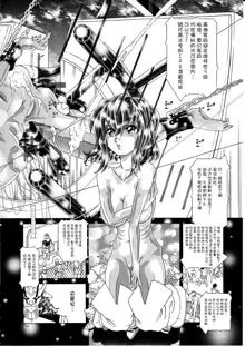 RANDOM NUDE Vol.5 92 〔STELLAR LOUSSIER〕 (Gundam Seed Destiny)【chinese】, 中文