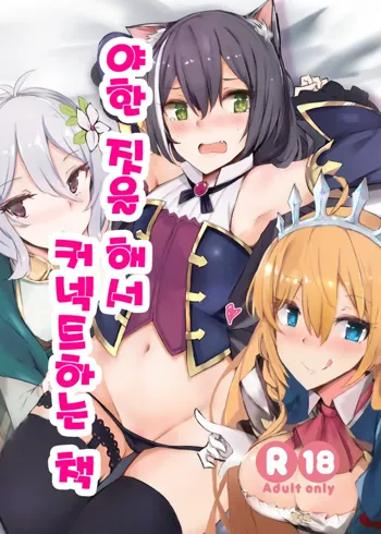 Ecchi na Koto Shite Connect Suru Hon | 야한 짓을 해서 커넥트하는 책, 한국어