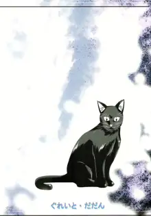 Yoruichi Nyan no Hon 3, English