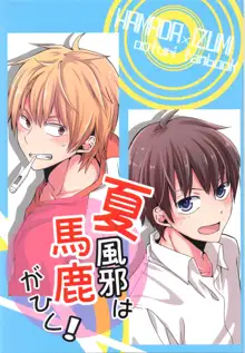 夏風邪は馬鹿がひく!, 日本語