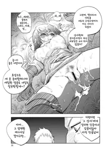 GRASSEN'S WAR ANOTHER STORY Ex #01 Node Shinkou I | GRASSEN'S WAR ANOTHER STORY Ex #01 노드 침공 I, 한국어